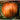 Dills Atlantic Giant Pumpkin (125 Days) - Vegetables