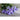 Dondo Blue Ageratum - Flowers