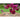 Double Click Cranberries Cosmos - Flowers