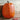 Early Giant Pumpkin (F1 Hybrid 95 Days) - Vegetables