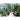 Gigante Di Inverno Spinach (Heirloom 55 Days) - Vegetables
