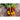 Golden Beet (Heirloom 55 Days) - Vegetables