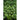 Healthy Blend Greens Mix (1oz) - Vegetables