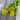 Lovage - Herbs
