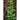 Mache Greens (60 Days) - Vegetables