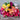 Magic Carpet Mix Snapdragon - Flowers