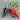 Purple Cayenne Pepper (70 Days) - Vegetables