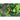 Rainbow Treasure Strawberry ( F1 Hybrid ) - Vegetables