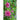 Rose Pirouette Petunia - Flowers