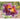 Salpiglossis - Royale Mix - Flowers