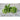 Snak Hero Pea (65 Days) - Vegetables