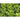Spicy Asian Greens Mix (1oz) - Vegetables