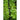 Spicy Italian Greens Mix (1oz) - Vegetables