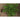 Winter Savory - Herbs
