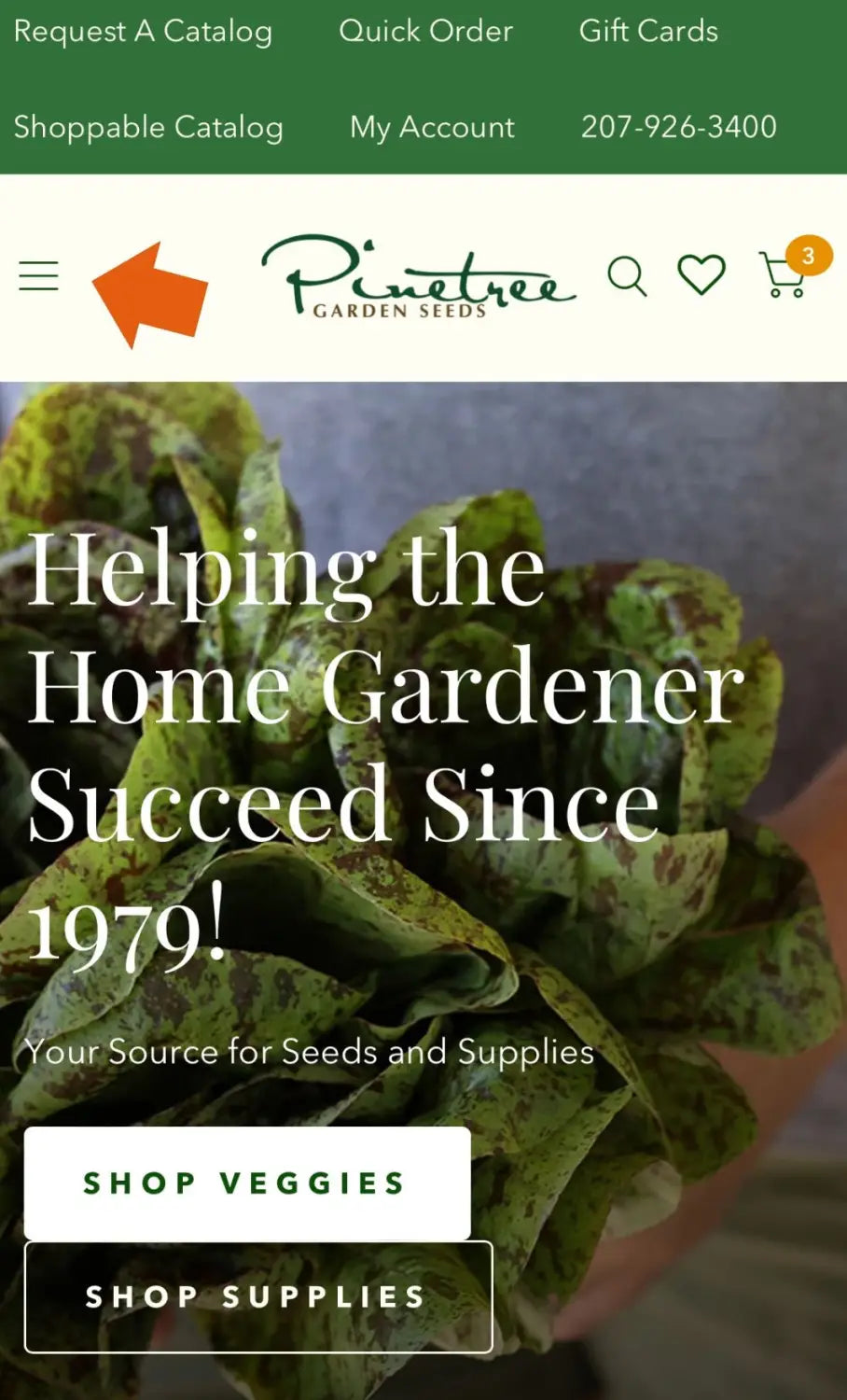 Home page of small business garden seed store displaying large green bundle of lettuce.