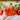 Arica Pepper (F1 Hybrid 75 Days) - Vegetables