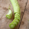 Armenian Cucumber (Heirloom 90 Days) - Vegetables