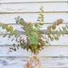 Baby Blue Bouquet Eucalyptus - Flowers