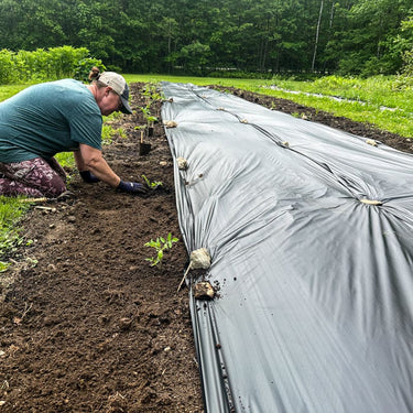 Black Plastic Mulch - Garden Supplies