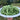 Blue Lake 274 Bush Bean (53 Days) - Vegetables