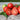 Bonny Best Tomato (Heirloom 72 Days) - Vegetables