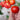 Bonny Best Tomato (Heirloom 72 Days) - Vegetables