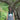 Bug Baffler Headnet - Supplies