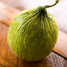 Casaba Golden Beauty Melon (110-120 Days) - Vegetables