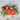 Cherokee Purple Tomato (Organic Heirloom 80 Days) - Vegetables