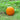 Connecticut Field Pumpkin (Heirloom 100 Days) - Vegetables