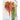 Coral Fountain Amaranth - Flowers