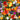 Deerproof Garden Flower Mix - Flowers