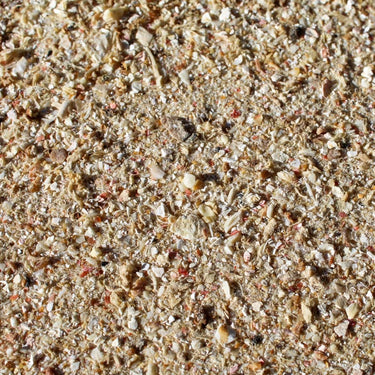 Down to Earth Fish Bone Meal - NPK 4-12-0 (5 LB) - Garden Supplies