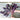 Firebird Swiss Chard (F1 Hybrid 60 Days) - Vegetables