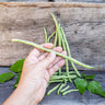 Fortex Pole Bean (60 Days) - Vegetables