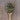 Dark Green Jalapeno Chili Pepper flakes on a rustic wooden spoon.