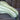 Green Striped Cushaw Winter Squash (Heirloom 105 Days) - Vegetables
