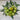 Green Zebra Tomato (Organic 75 Days) - Vegetables
