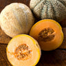 Halona Melon (F1 Hybrid 74 Days) - Vegetables