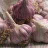 Hardneck Garlic-Purple Glazer (Fall Planting) - Bulb