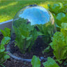 Haxnicks Garden Cloches King Size (2 pack) - Garden Supplies