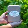 Hand holding a collection of heirloom vegetable seeds in a gift box against a green leafy background