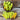 Hungarian Yellow Wax Pepper (65 Days) - Vegetables