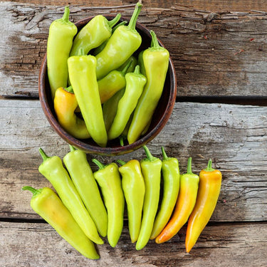 Hungarian Yellow Wax Pepper (65 Days) - Vegetables
