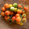 Isis Candy Tomato (75 Days) - Vegetables