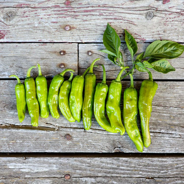Italian Pepperoncini Pepper (75 Days) - Vegetables