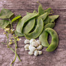 Jackson Wonder Lima Bean (65-70 Days) - Vegetables