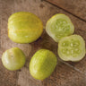 Lemon Cucumber (Heirloom 65 Days) - Vegetables