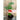 Little Bing Tomato (60-65 Days) - Vegetables