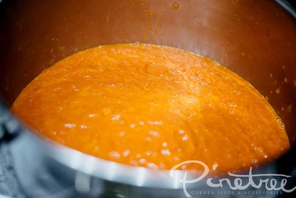 Close-up of blended marinara in a sauce pot.